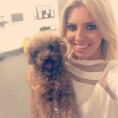 /album/fotky3/mollie-king-dog-jpg/
